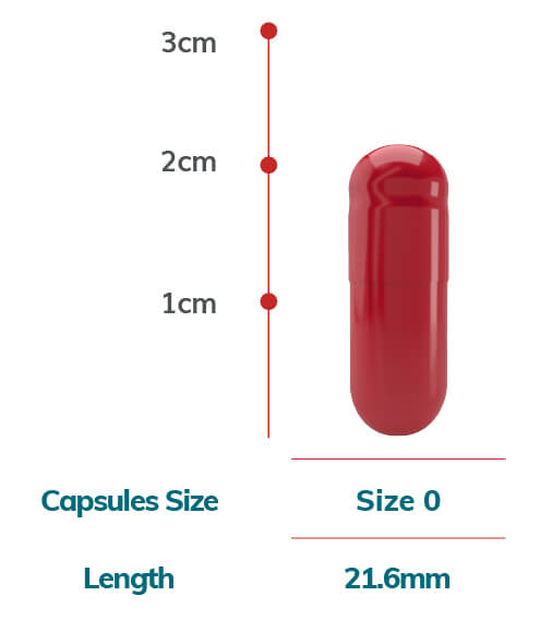 Size chart_delayed release