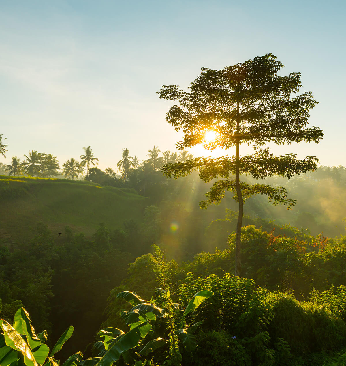 clean-label-consulting-1