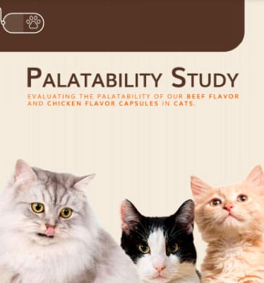 Flavored Capsules for Cats