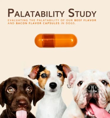 Flavored Capsules for Dogs