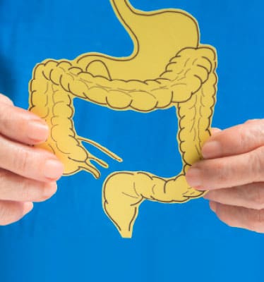 Probiotics Market Trends